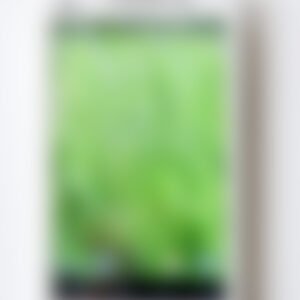 Lenovo White
