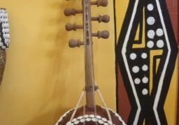 Abibifo? Ngoni ( Mali/Burkina Faso Style Kora)